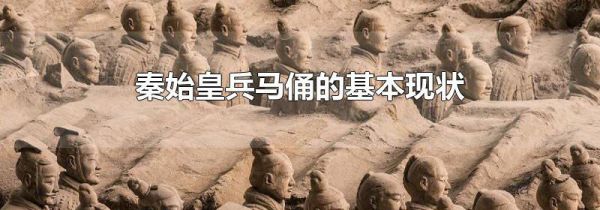 秦始皇兵马俑的基本现状