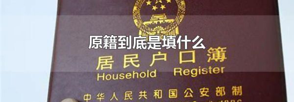 原籍到底是填什么