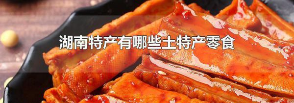 湖南特产有哪些土特产零食
