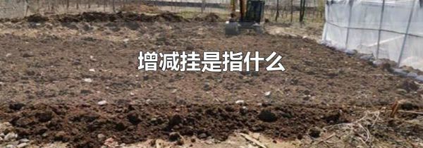 增减挂是指什么