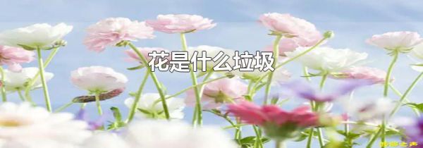 花是什么垃圾