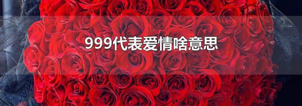 999代表爱情啥意思