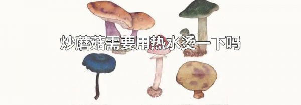 炒蘑菇需要用热水烫一下吗