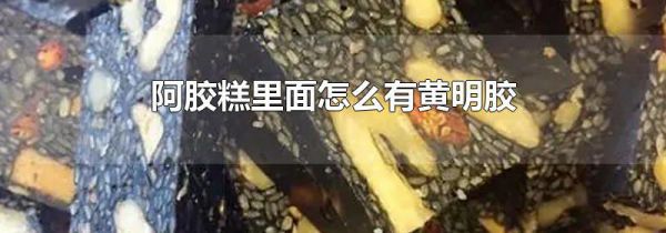 阿胶糕里面怎么有黄明胶