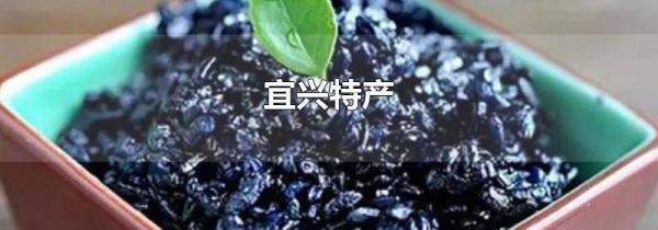 宜兴特产