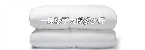 一床被子大概多少斤