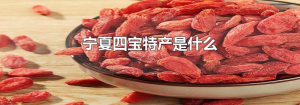 宁夏四宝特产是什么