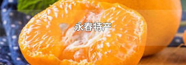 永春特产