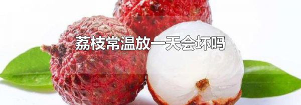 荔枝常温放一天会坏吗