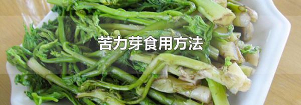苦力芽食用方法