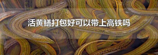 活黄鳝打包好可以带上高铁吗