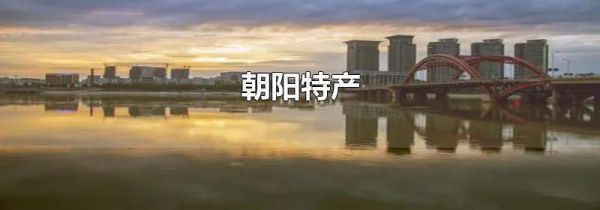 朝阳特产