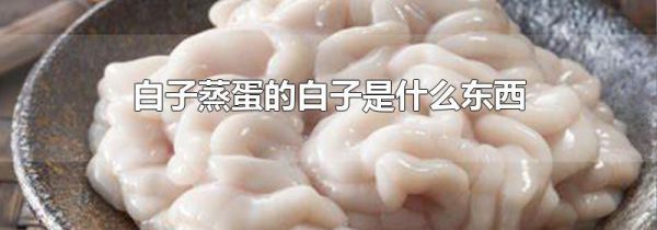 白子蒸蛋的白子是什么东西