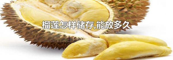 榴莲怎样储存,能放多久