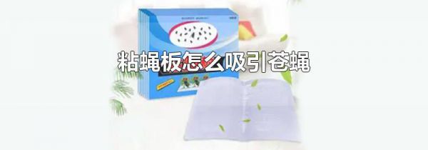 粘蝇板怎么吸引苍蝇