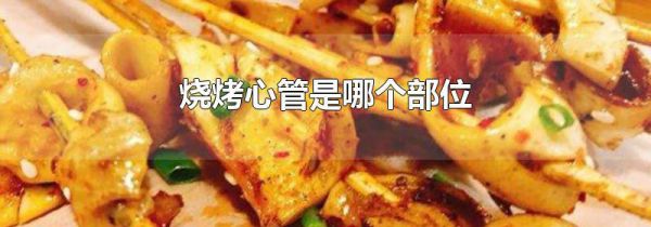 烧烤心管是哪个部位