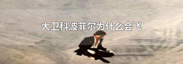 大卫科波菲尔为什么会飞
