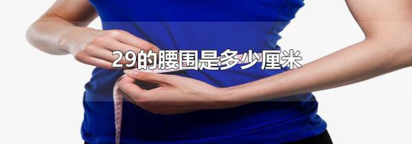 29的腰围是多少厘米