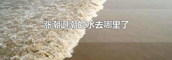 涨潮退潮的水去哪里了