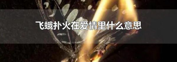 飞蛾扑火在爱情里什么意思