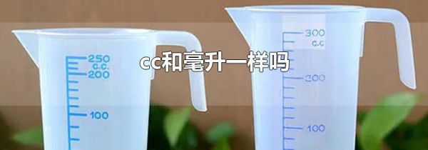 cc和毫升一样吗