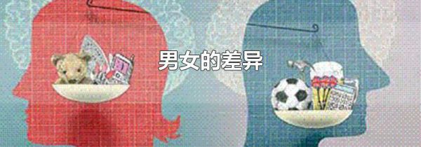 男女的差异
