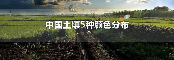 中国土壤5种颜色分布