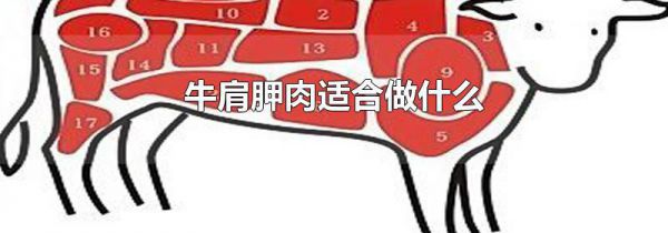 牛肩胛肉适合做什么