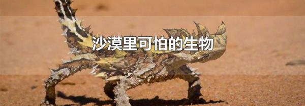 沙漠里可怕的生物