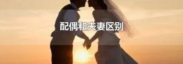 配偶和夫妻区别