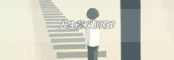 人生意义何在?