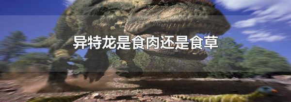 异特龙是食肉还是食草