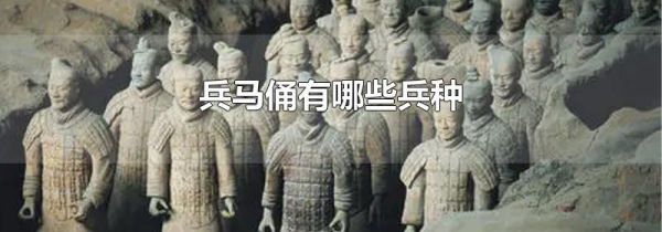 兵马俑有哪些兵种