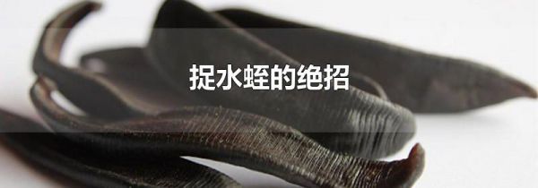 捉水蛭的绝招