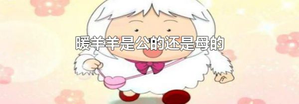 暖羊羊是公的还是母的