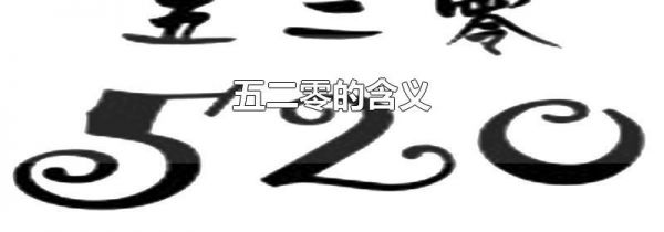 五二零的含义