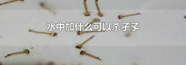 水中加什么可以杀孑孓
