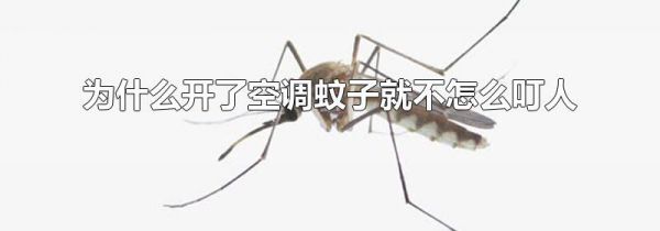 为什么开了空调蚊子就不怎么叮人