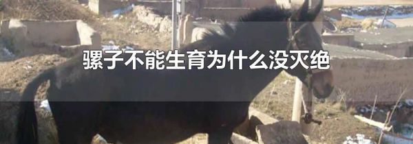 骡子不能生育为什么没灭绝