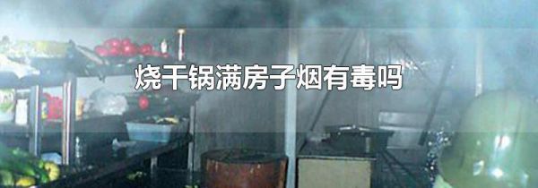 烧干锅满房子烟有毒吗
