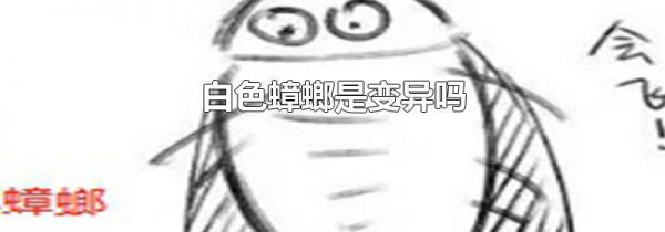 白色蟑螂是变异吗