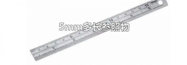 5mm多长参照物