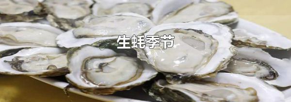 生蚝季节