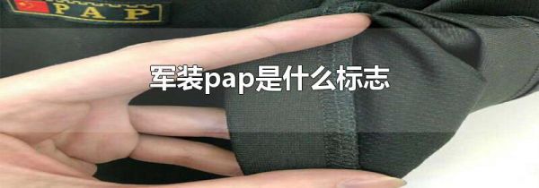 军装pap是什么标志