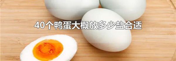 40个鸭蛋 大概放多少盐合适