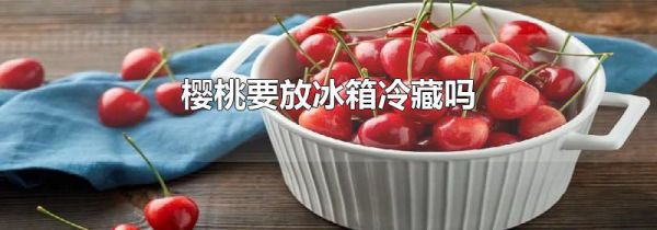 樱桃要放冰箱冷藏吗