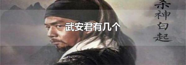 武安君有几个