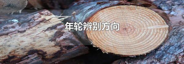 年轮辨别方向