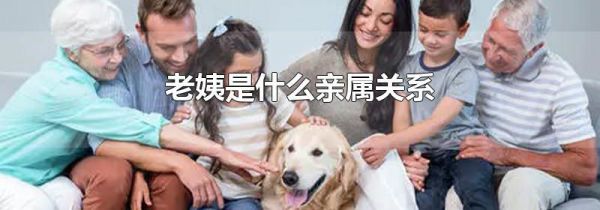 老姨是什么亲属关系