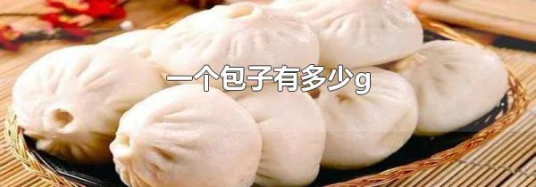 一个包子有多少g